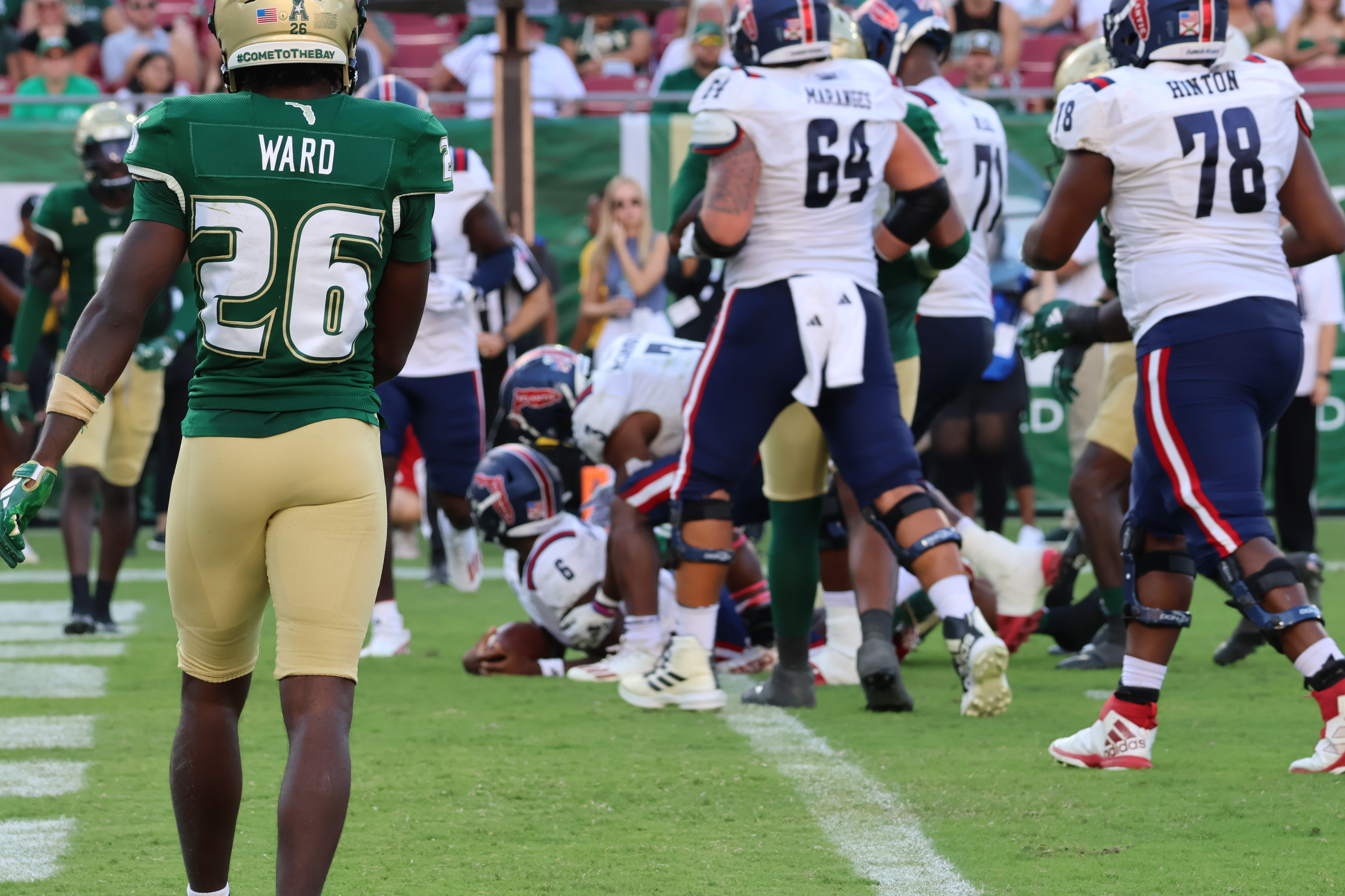 fau owls