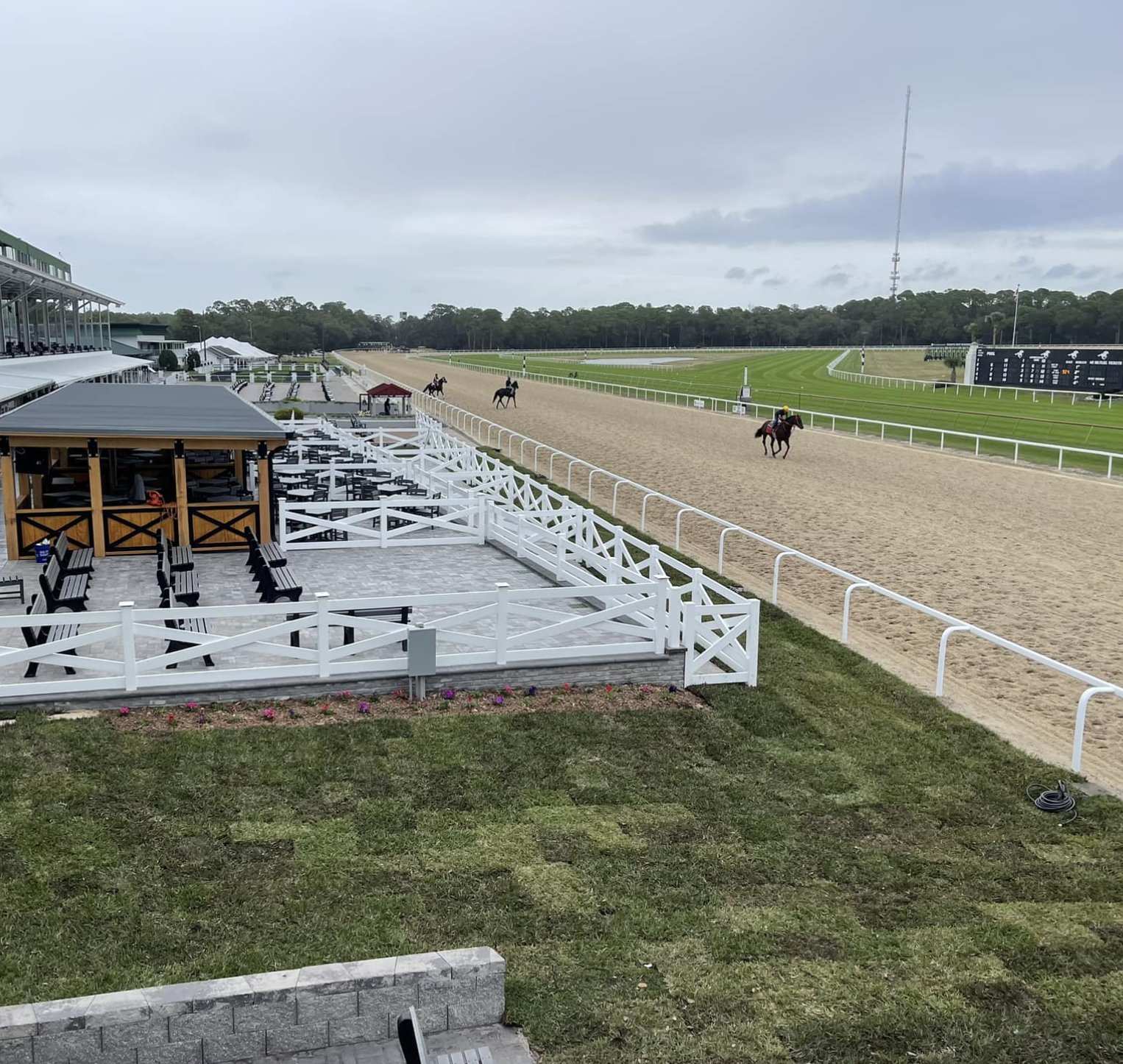 Tampa Bay Downs