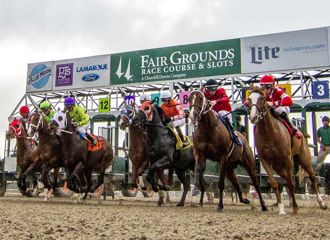 Fair Grounds