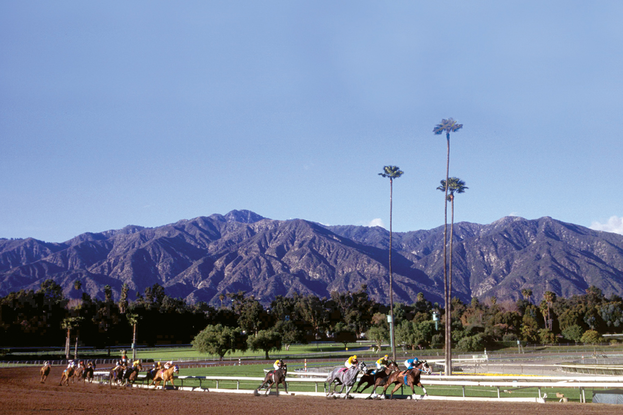 Santa Anita