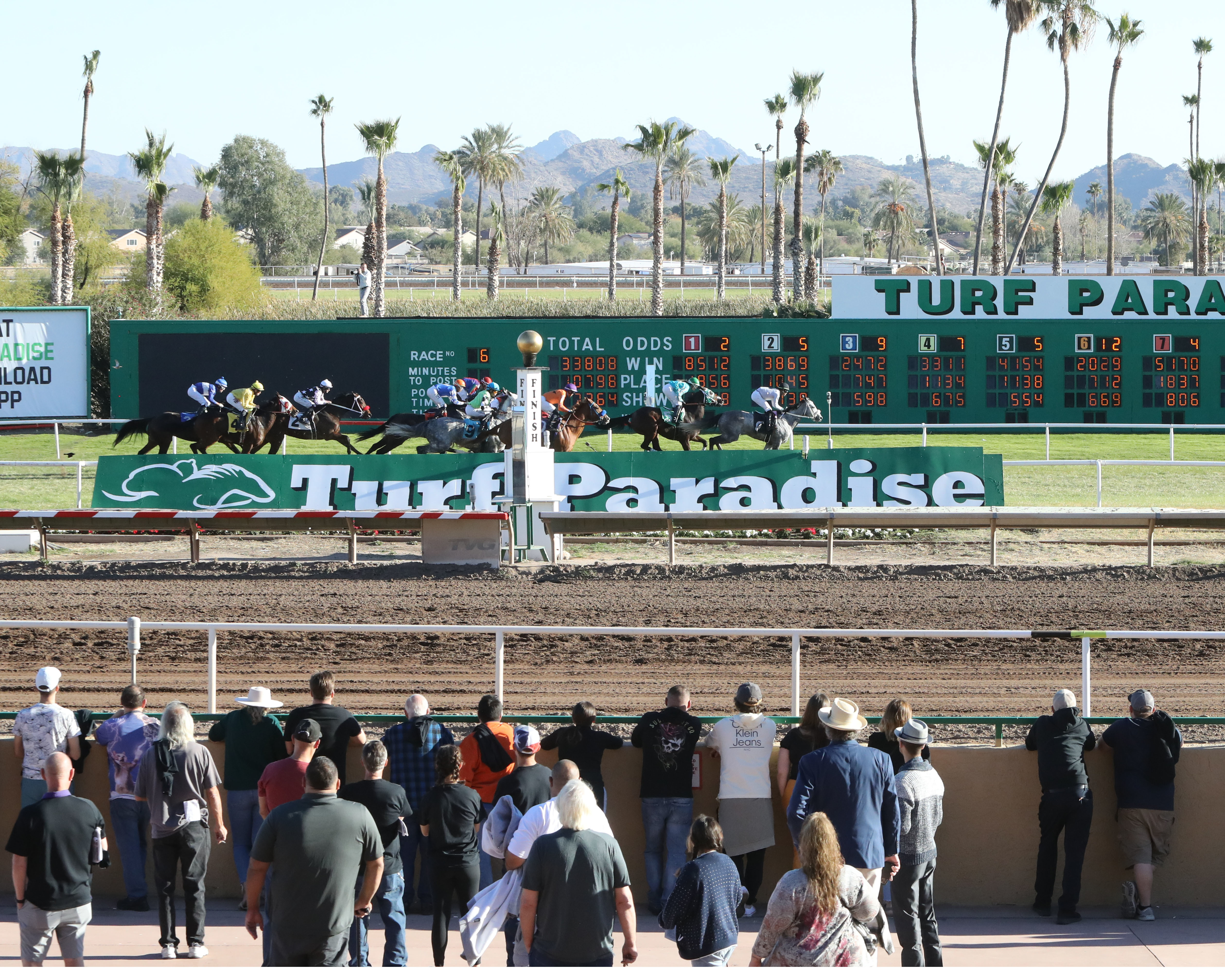 Turf Paradise