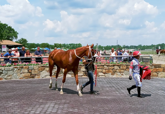 parx