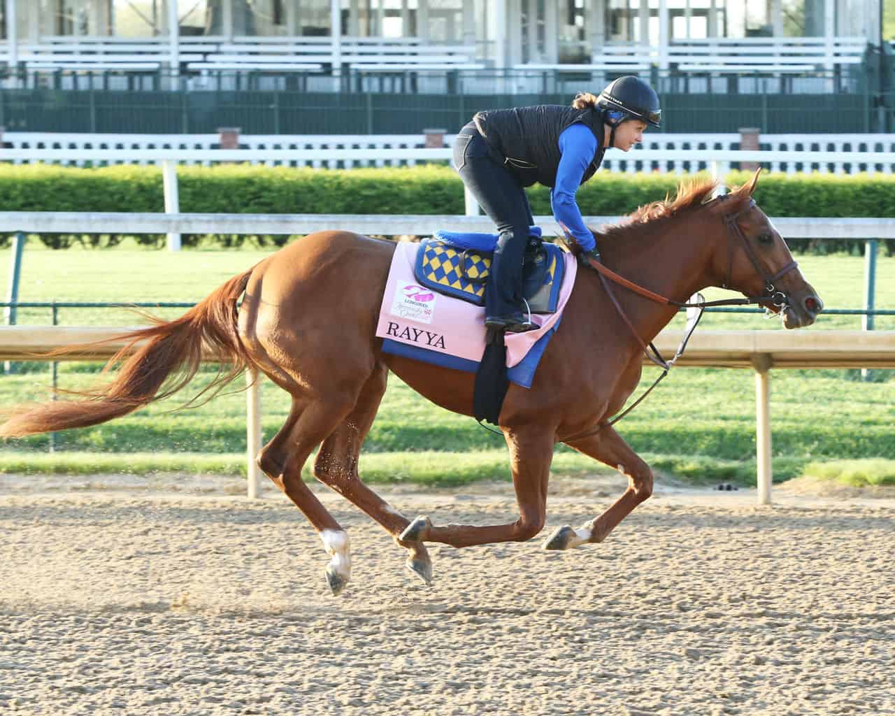 kentucky oaks