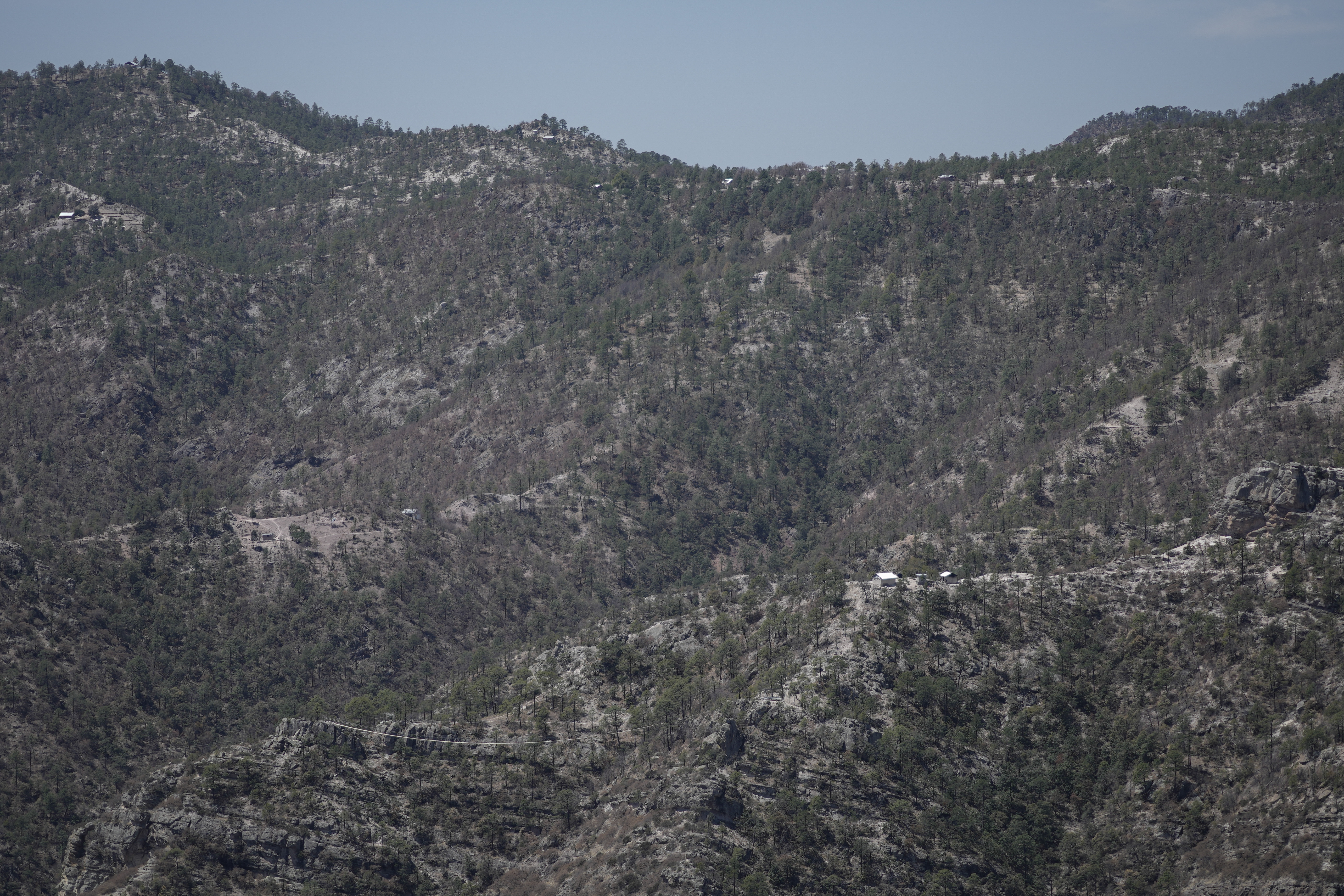 Tarahumara runners