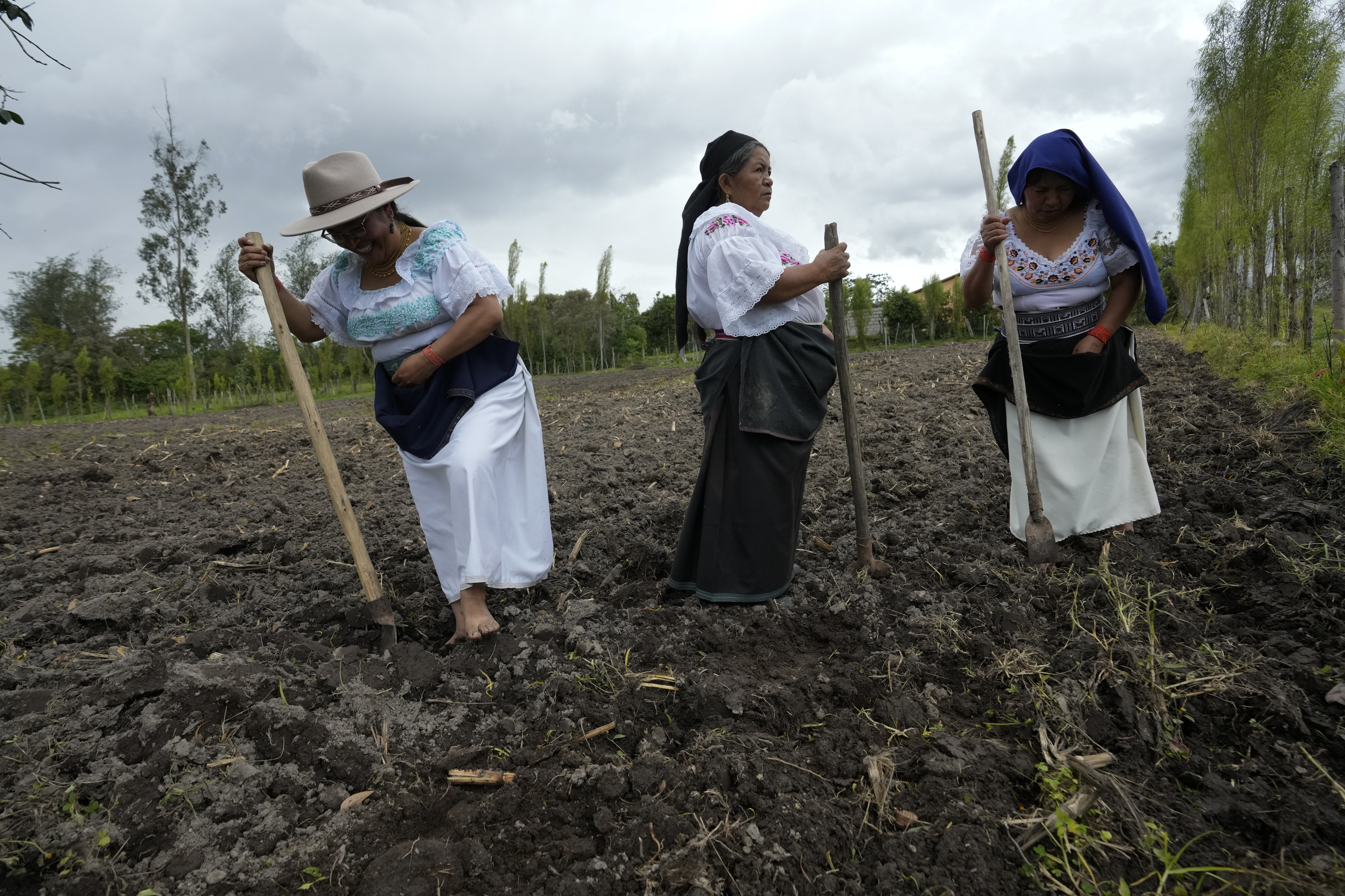 Indigenous women