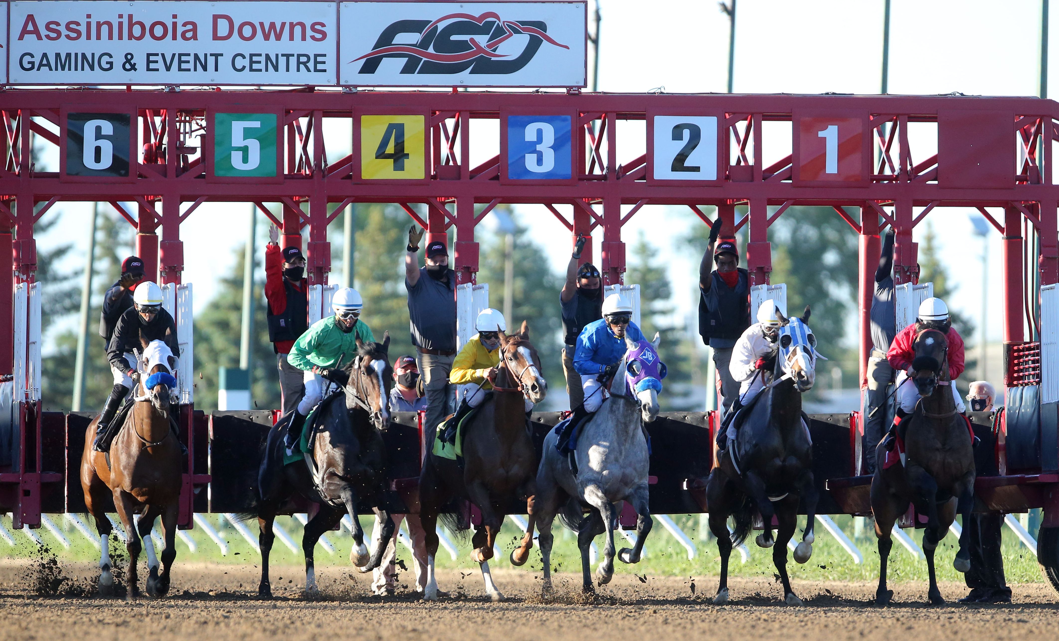 Assiniboia Downs