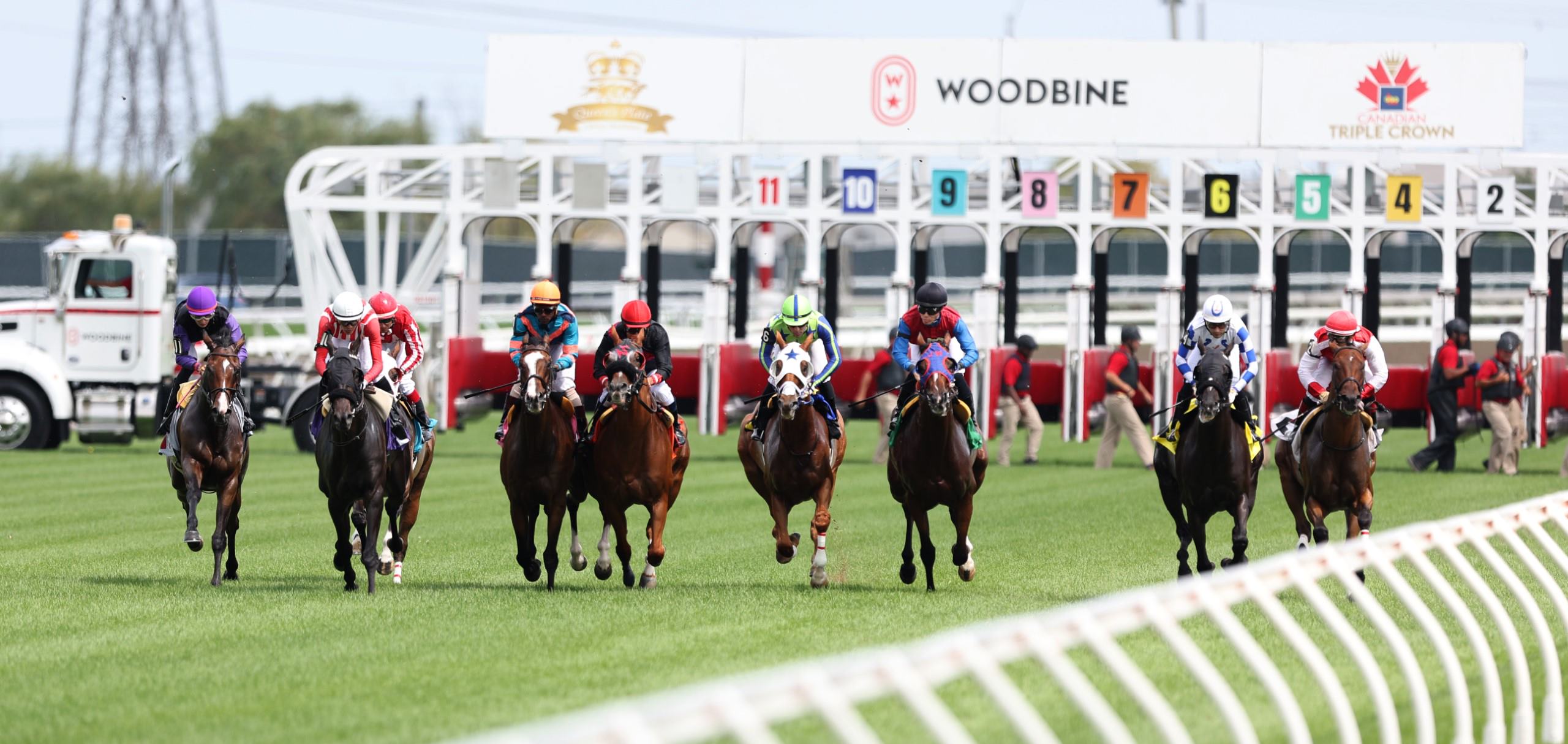 Woodbine