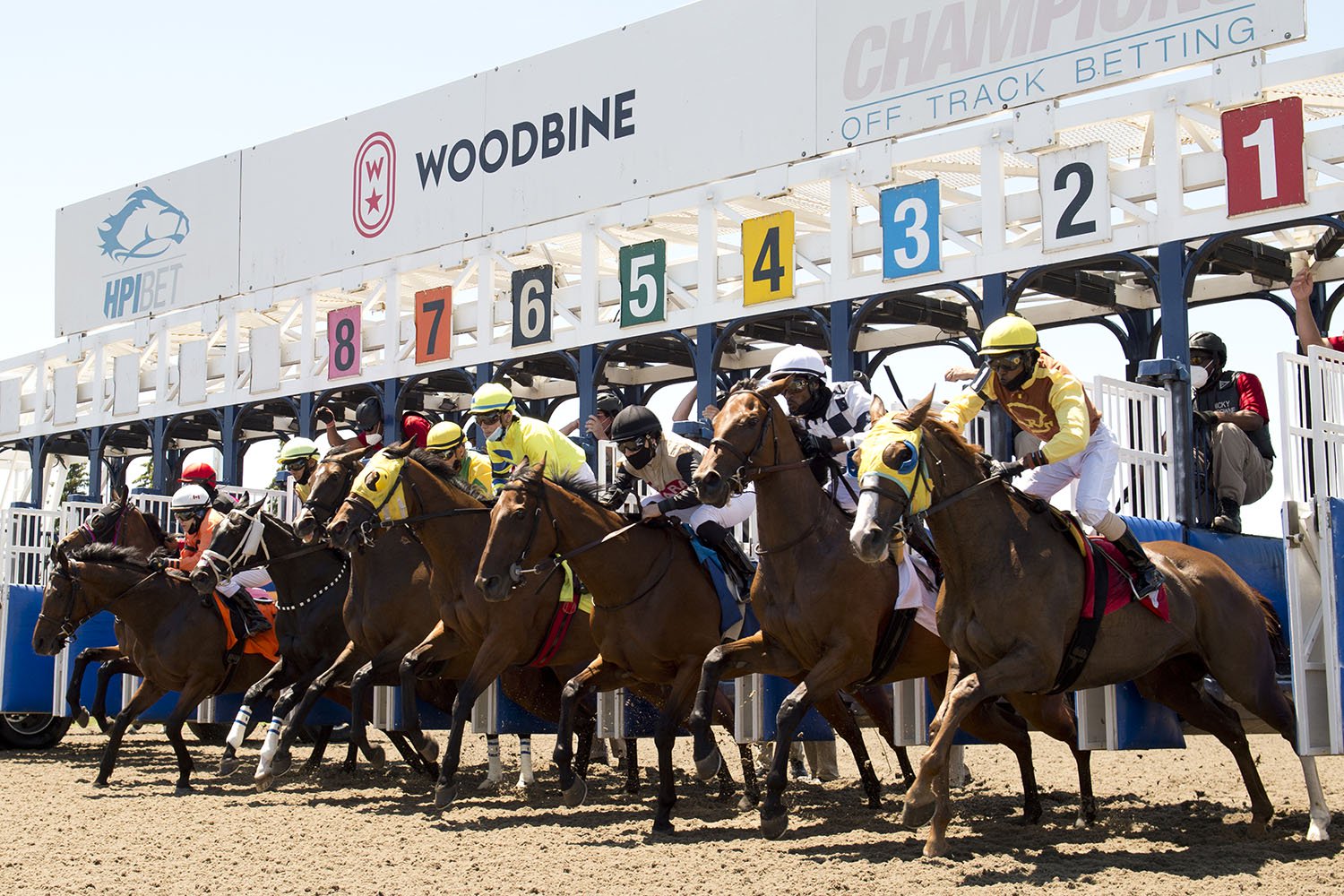 Woodbine