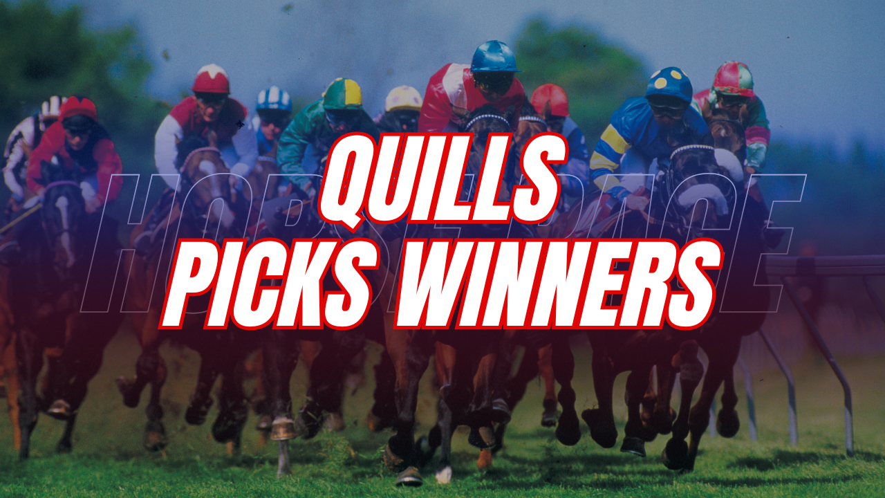 QUILLS PICKS WINNERS