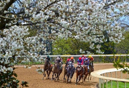 Keeneland