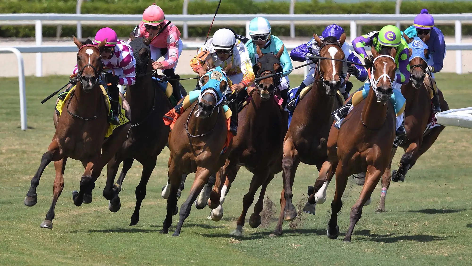 Gulfstream Park